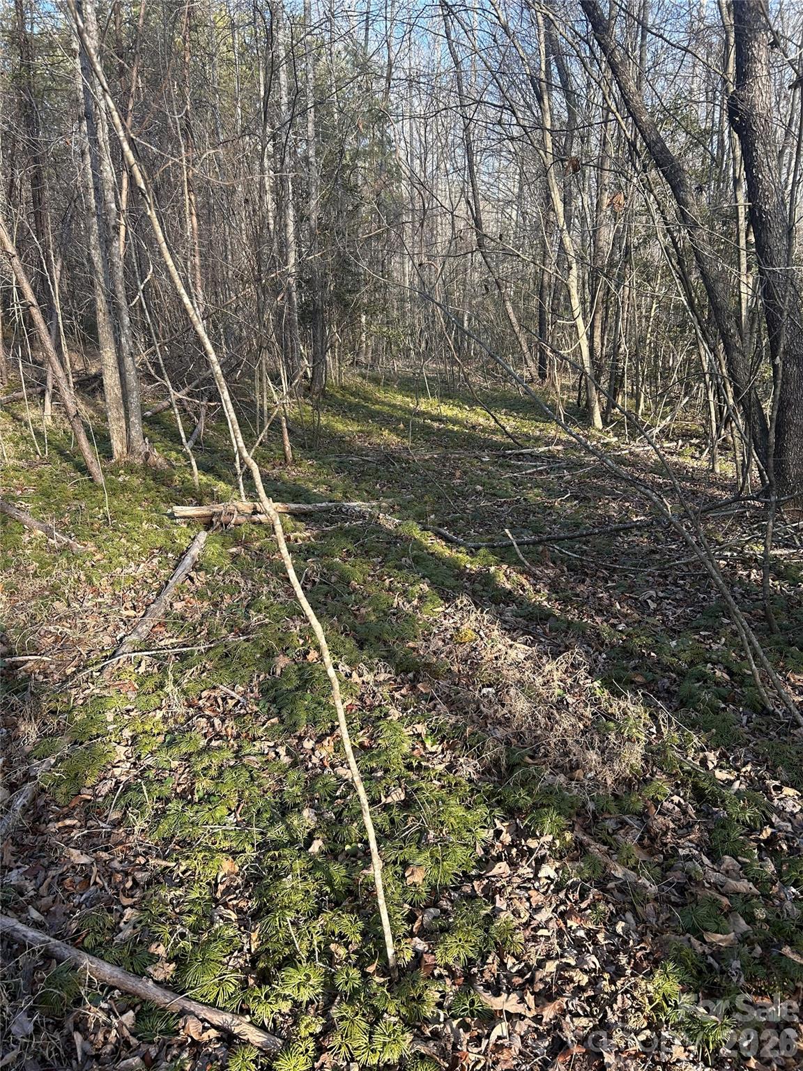 Lot 24 Double Eagle Drive 24 Property Photo 27