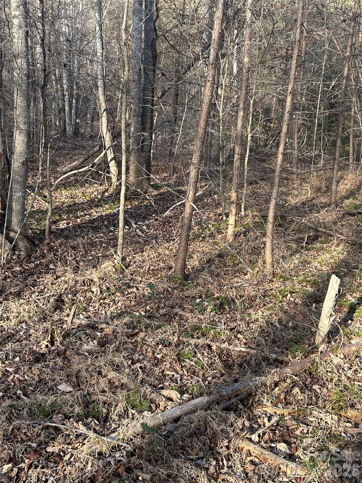 Lot 24 Double Eagle Drive 24 Property Photo 28