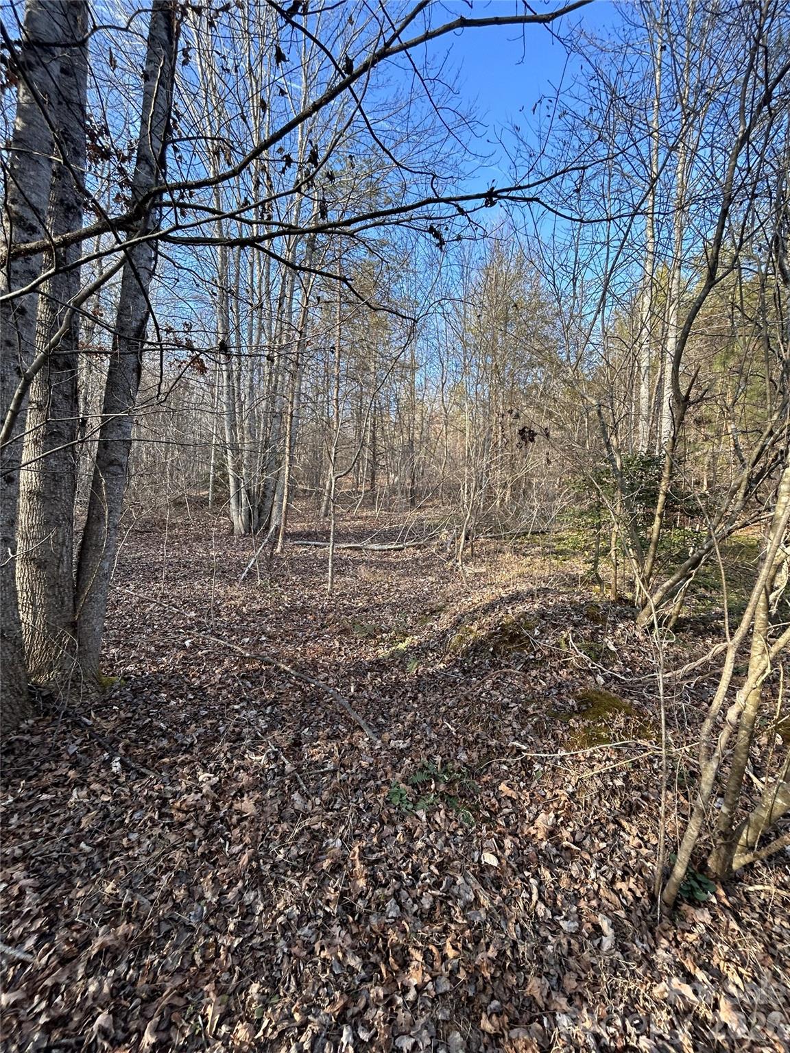 Lot 24 Double Eagle Drive 24 Property Photo 30