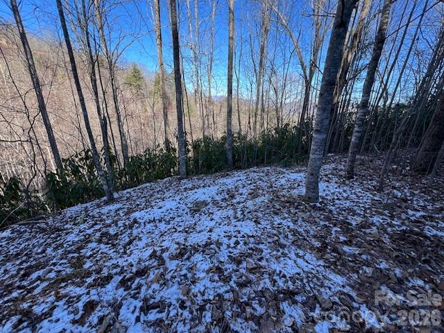 621 Round Top Road Property Photo 1