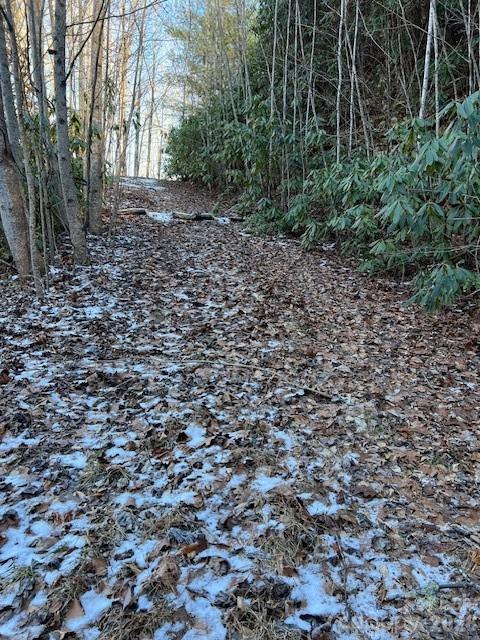 621 Round Top Road Property Photo 4