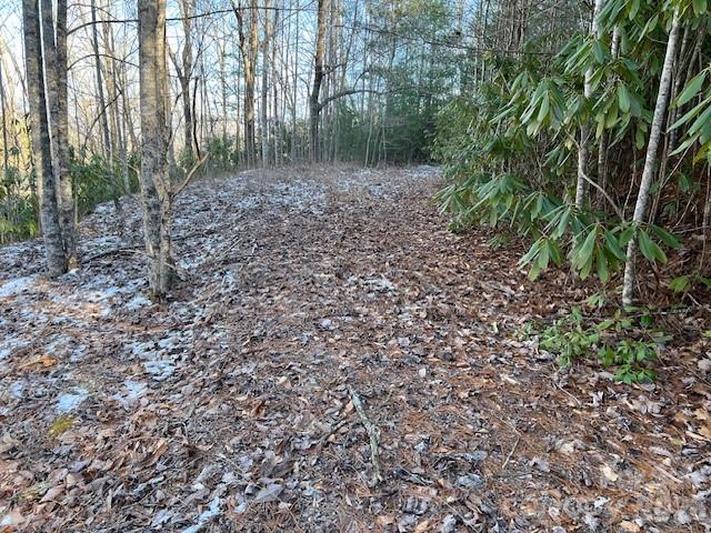 621 Round Top Road Property Photo 6