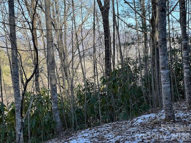 621 Round Top Road Property Photo 7