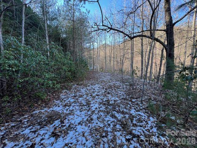 621 Round Top Road Property Photo 8