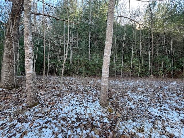 621 Round Top Road Property Photo 10