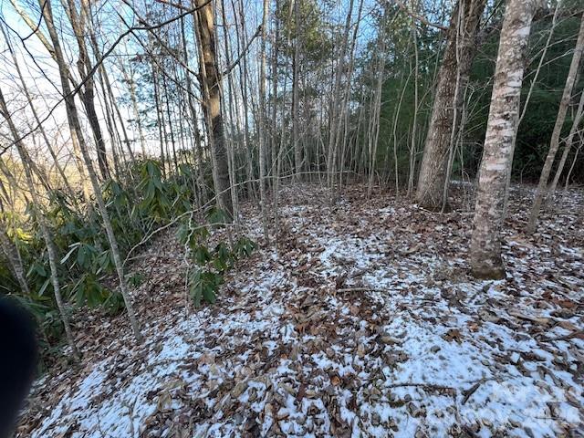 621 Round Top Road Property Photo 11