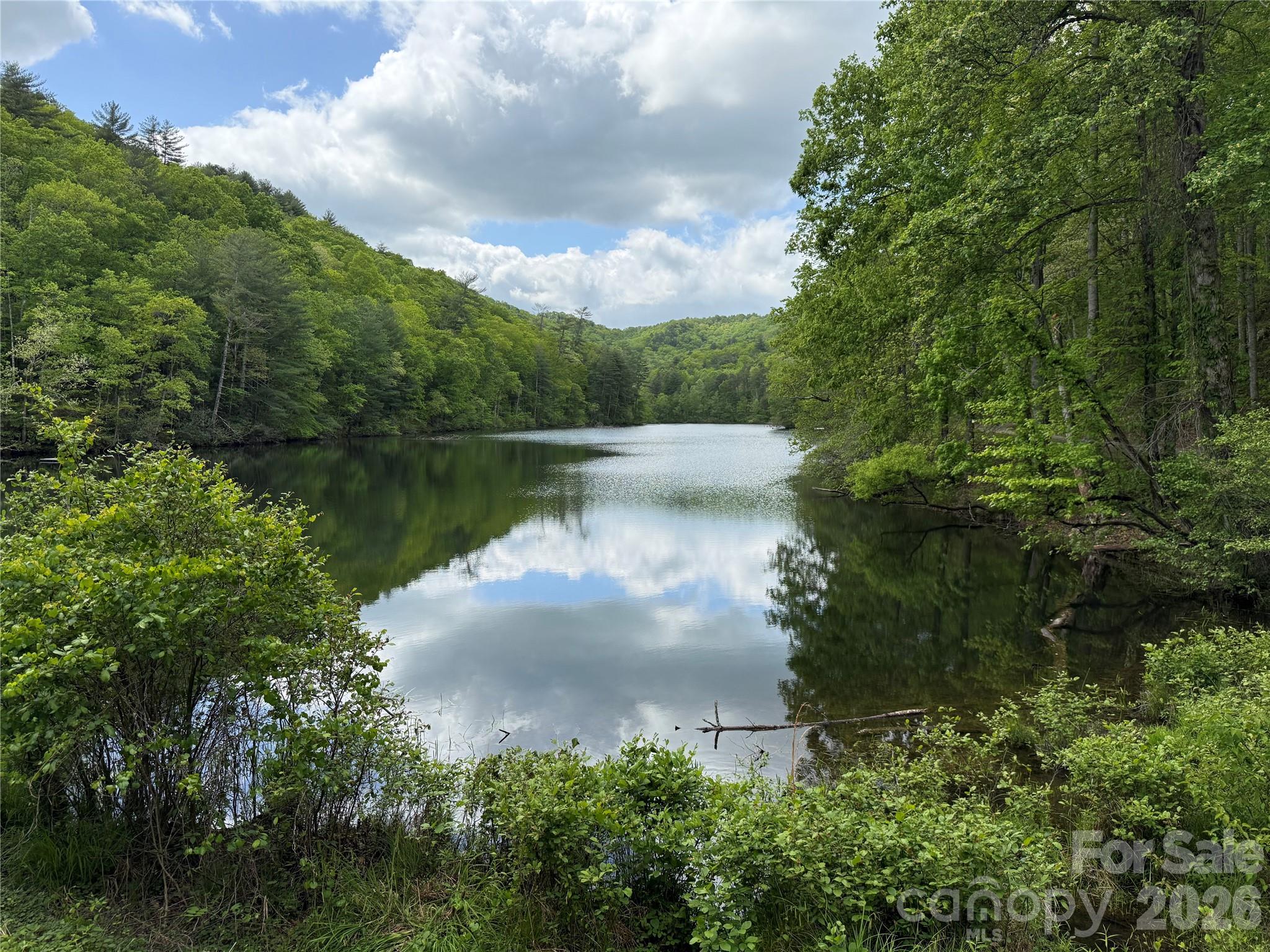 820 Shuler Lake Road Property Photo 4