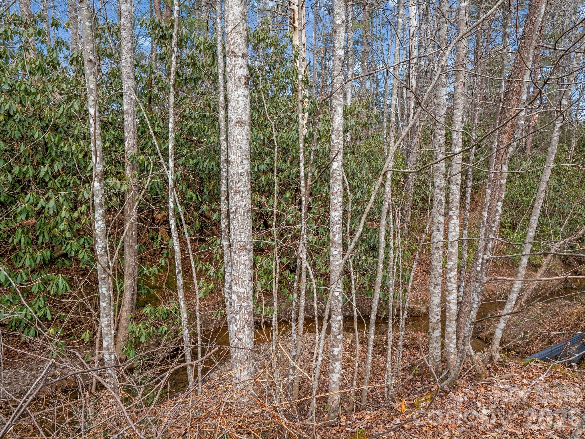 220 Jonathan Creek Drive Property Photo 34