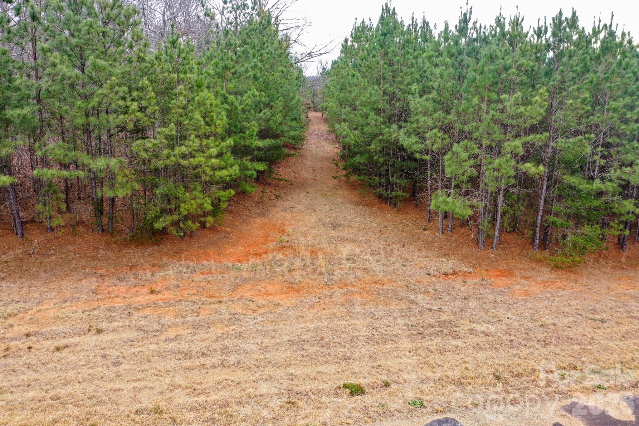 0 Dead End Road Property Photo 11