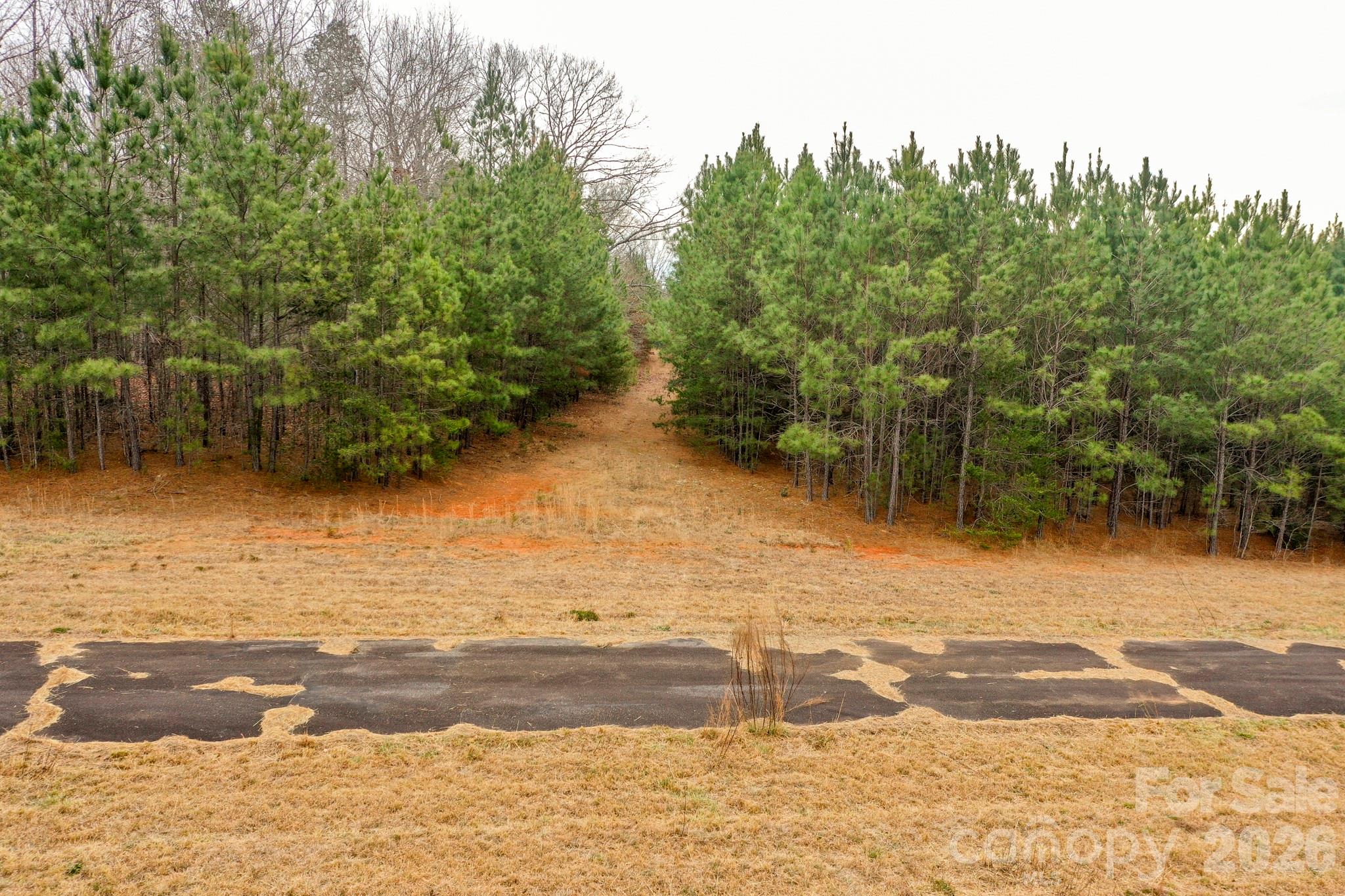 0 Dead End Road Property Photo 13