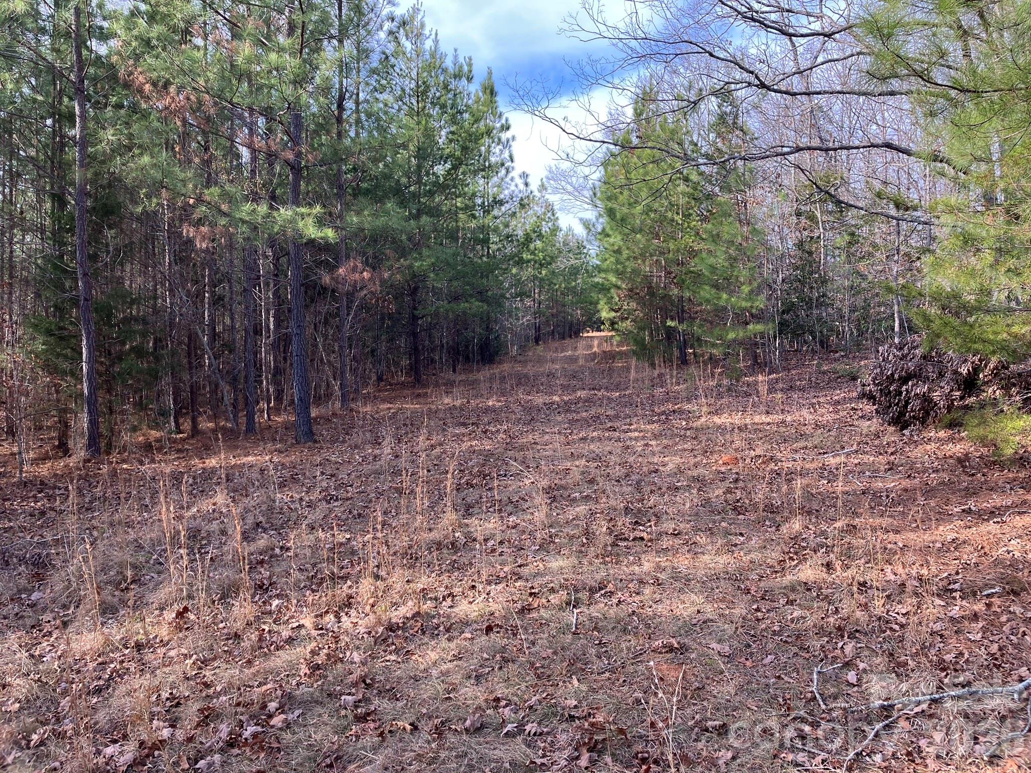0 Dead End Road Property Photo 19