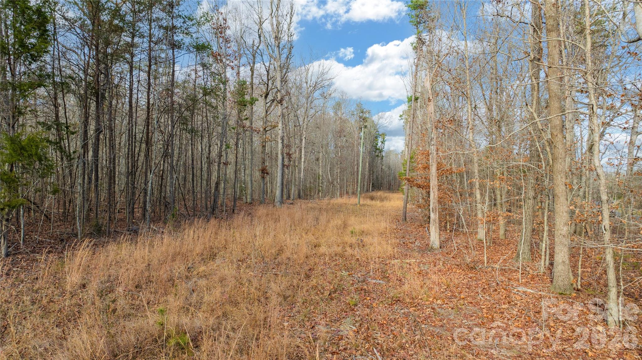 0 Cooper Road Property Photo 23