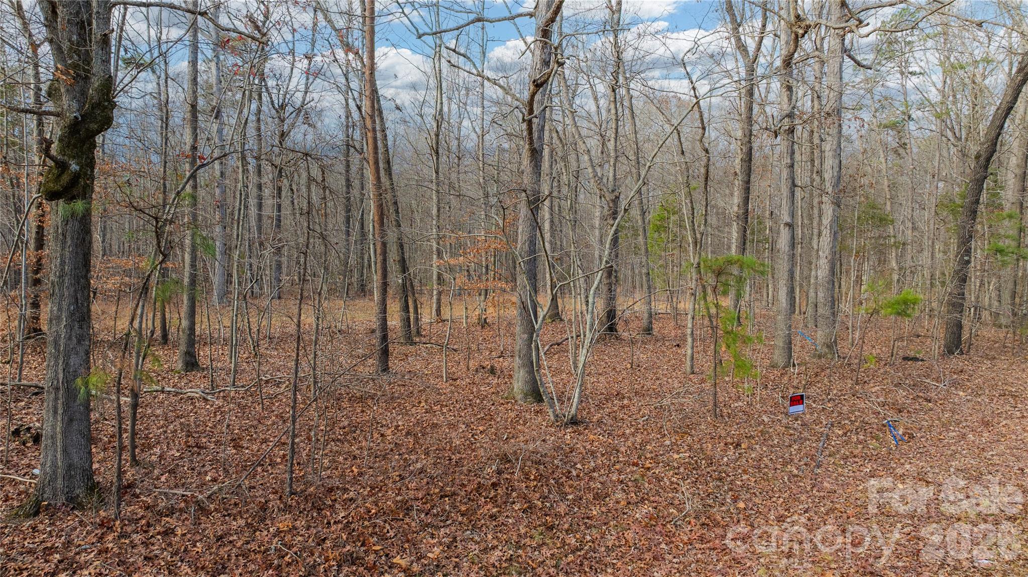 0 Cooper Road Property Photo 25