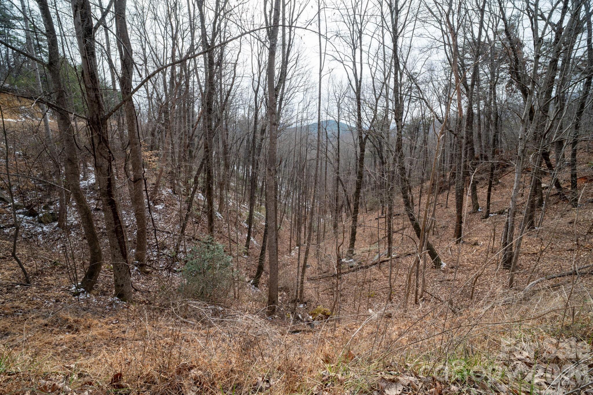 000 Pinnacle Parkway Property Photo 6