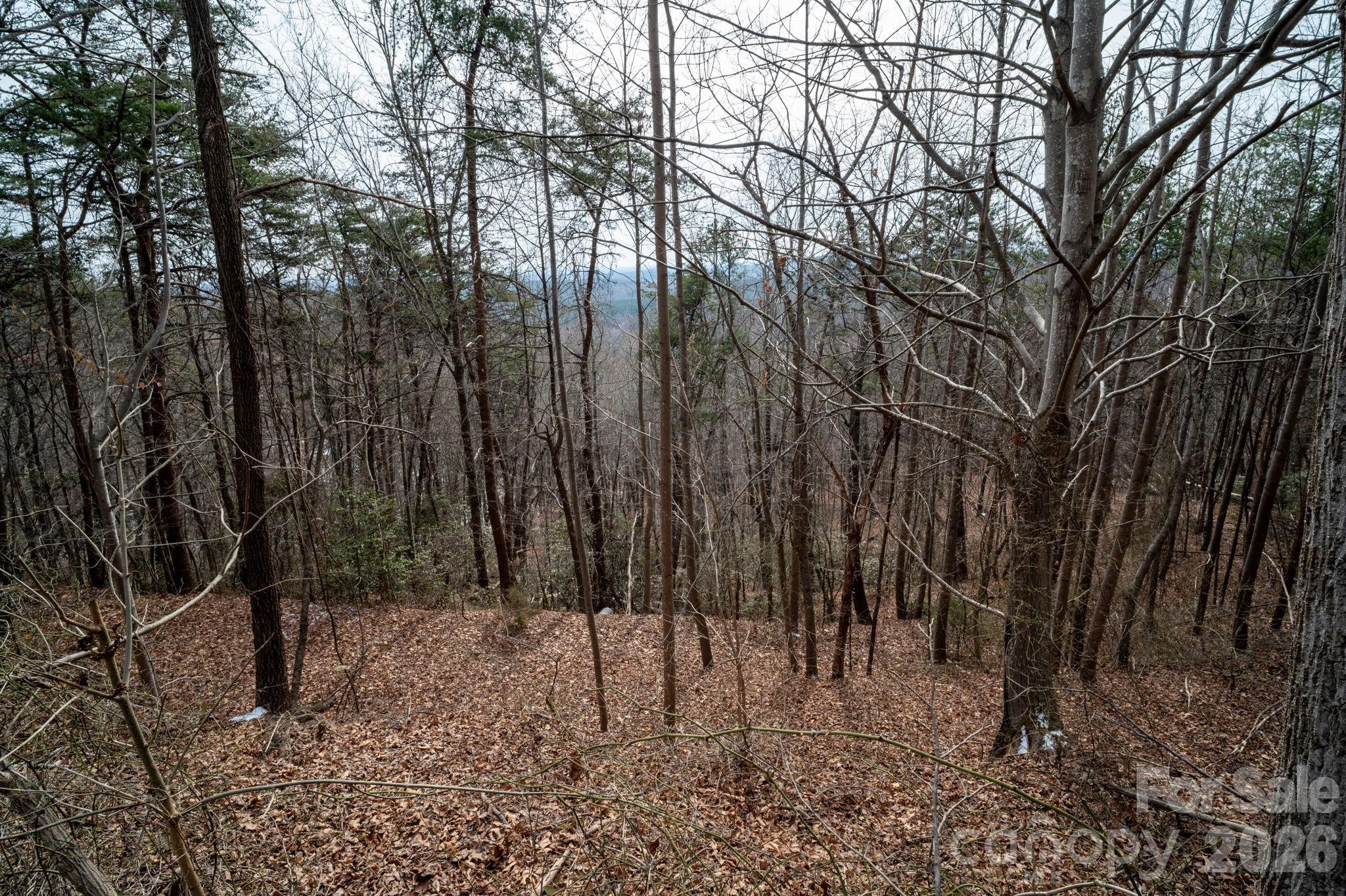000 Pinnacle Parkway Property Photo 14