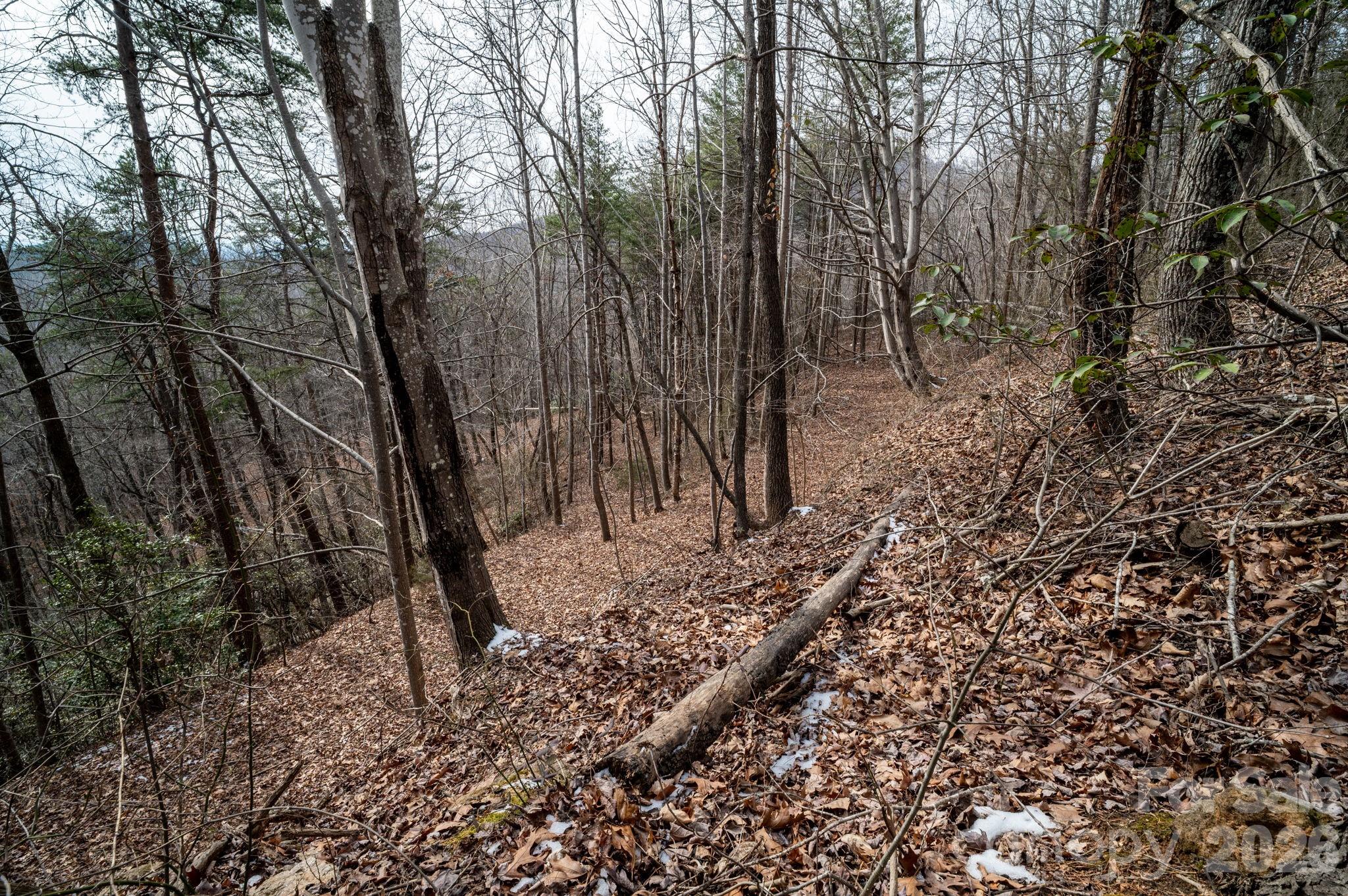 000 Pinnacle Parkway Property Photo 15