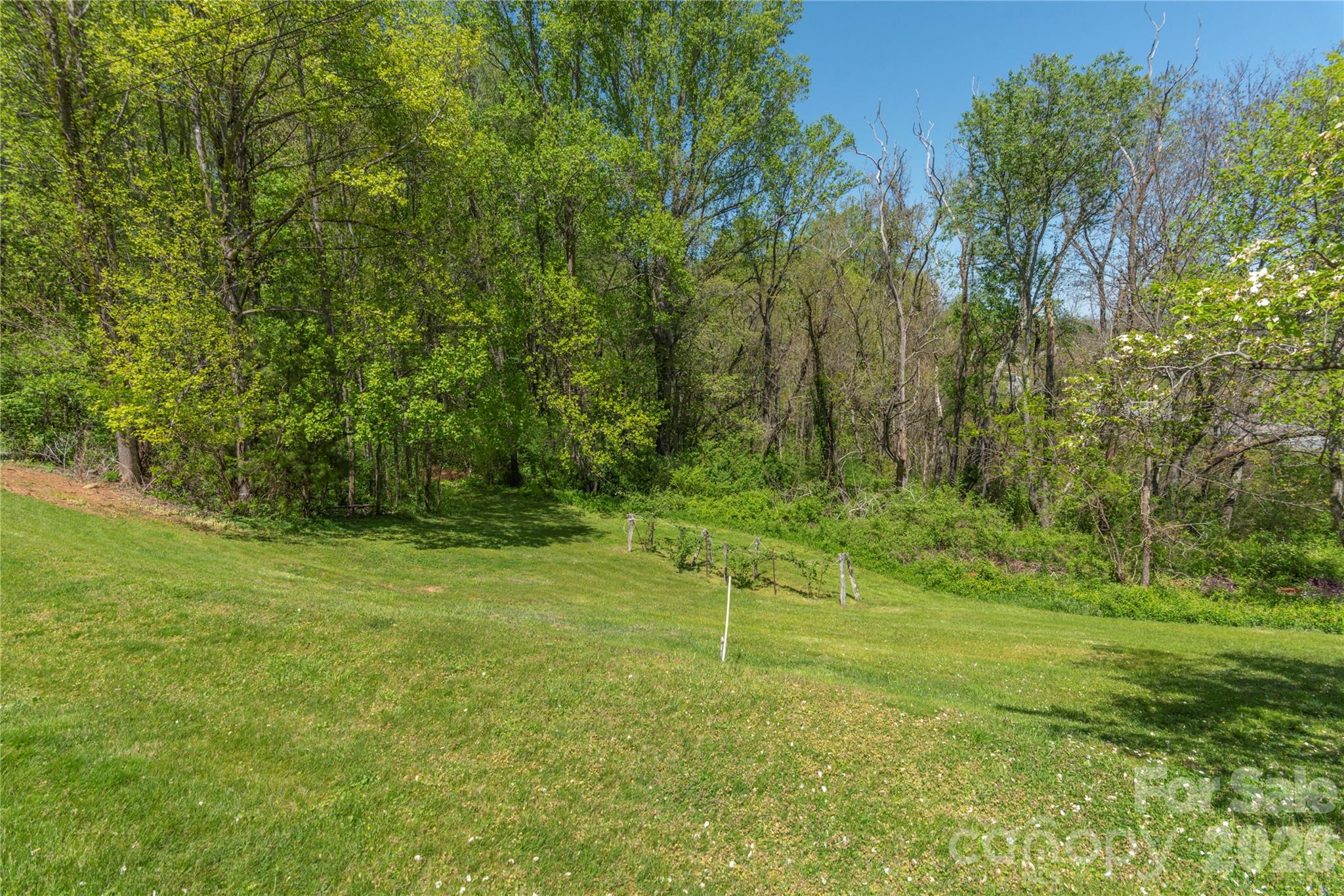96 Tower Lane Property Photo 23