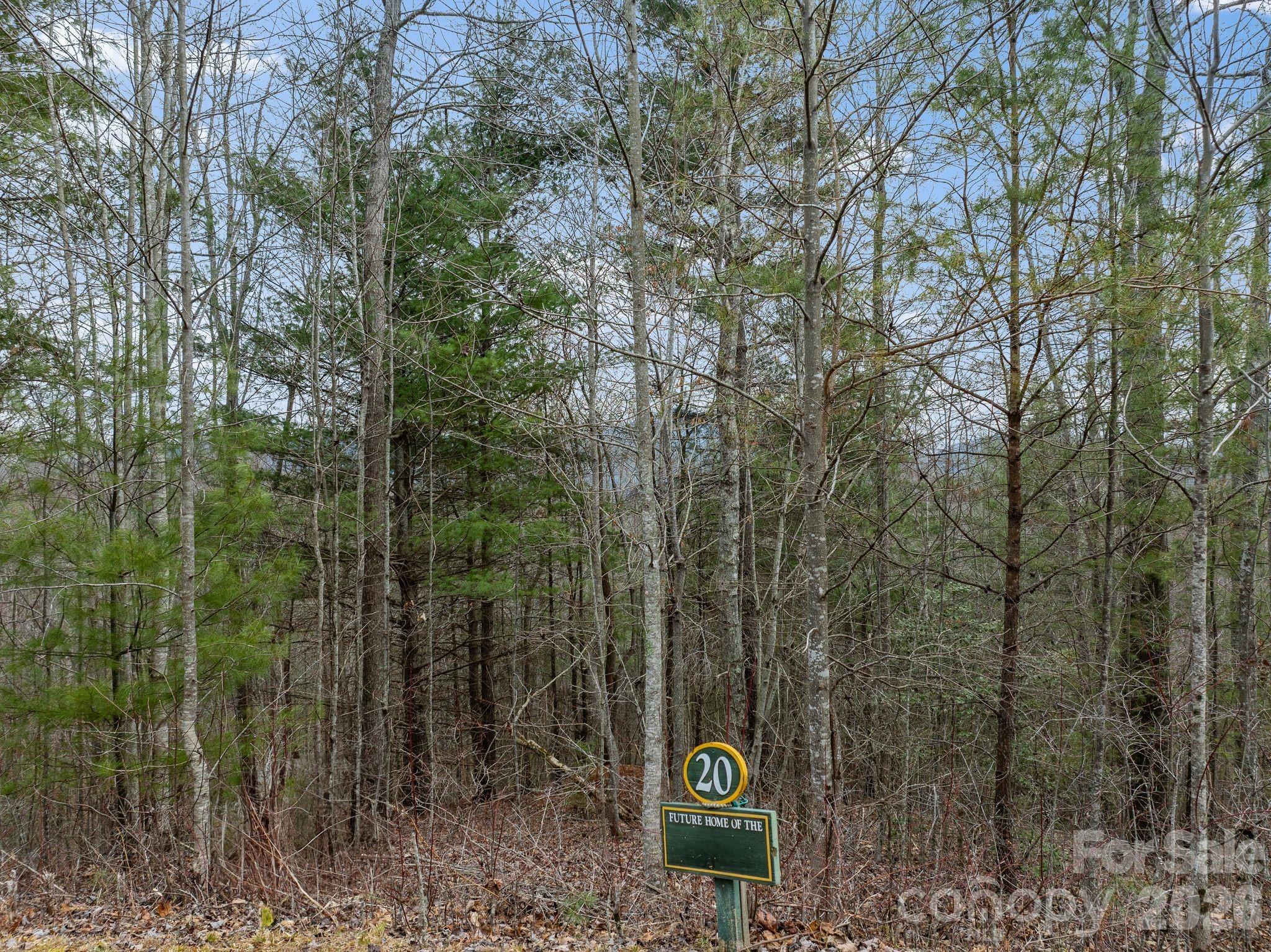 400 Pine Cone Trail 20 Property Photo 4