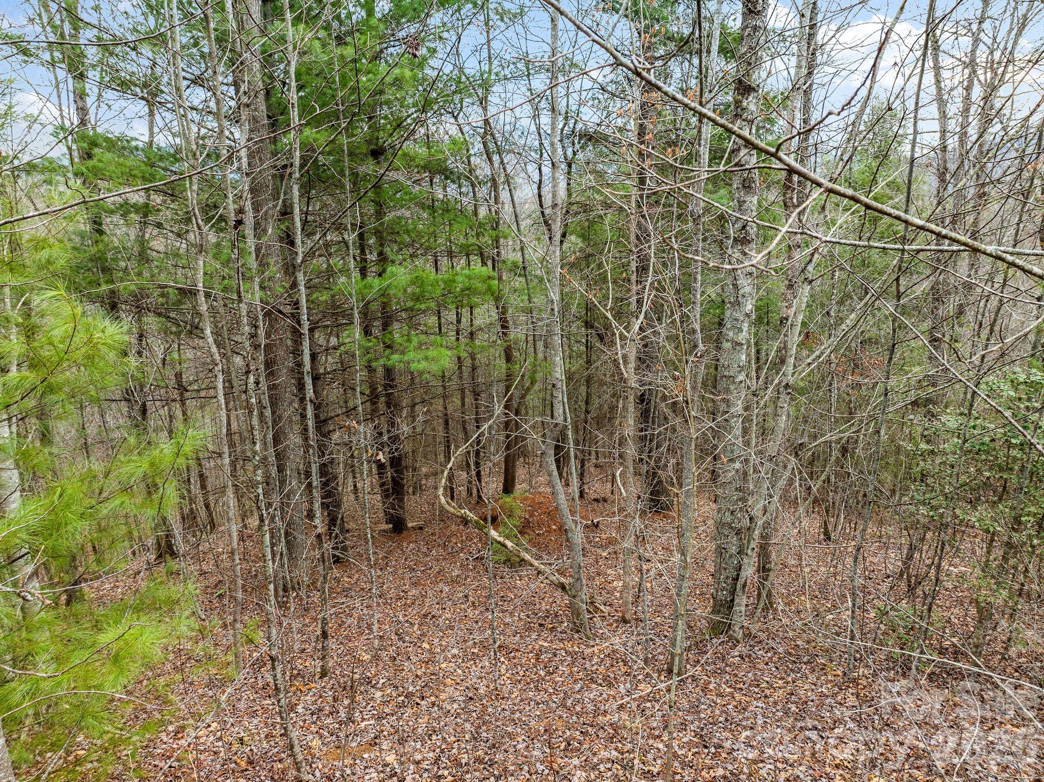 400 Pine Cone Trail 20 Property Photo 7