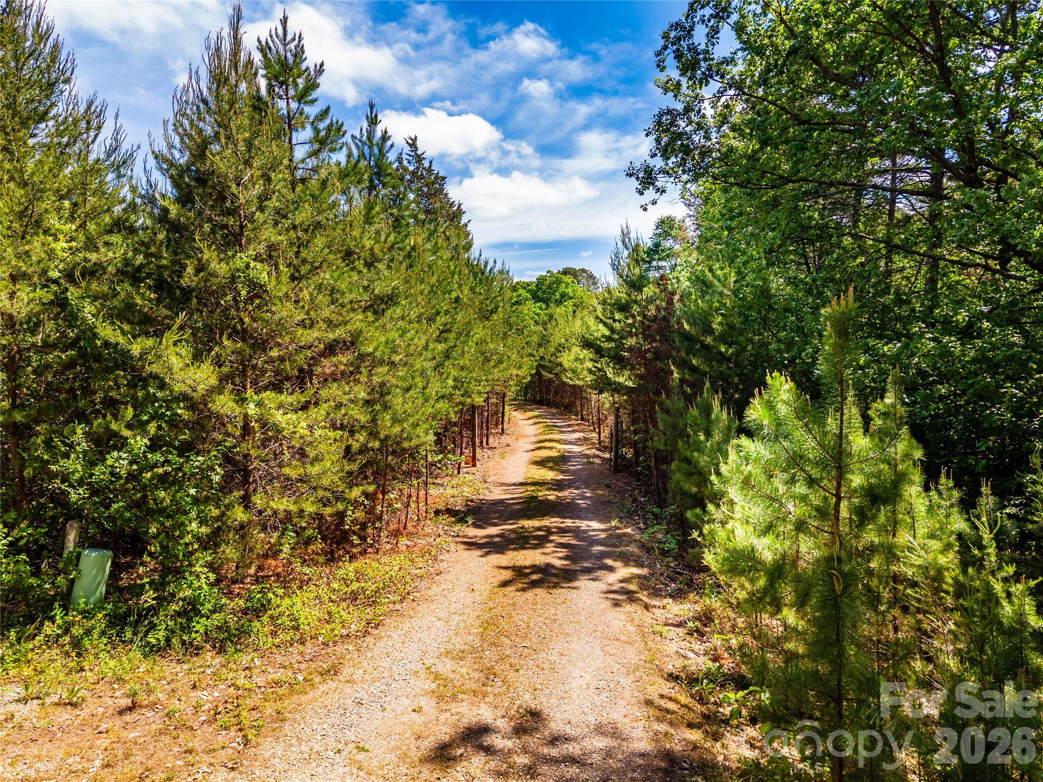 4515 Botany Trail Property Photo 3
