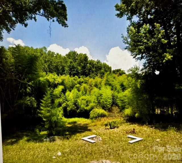 40 Poplar Street Property Photo 3