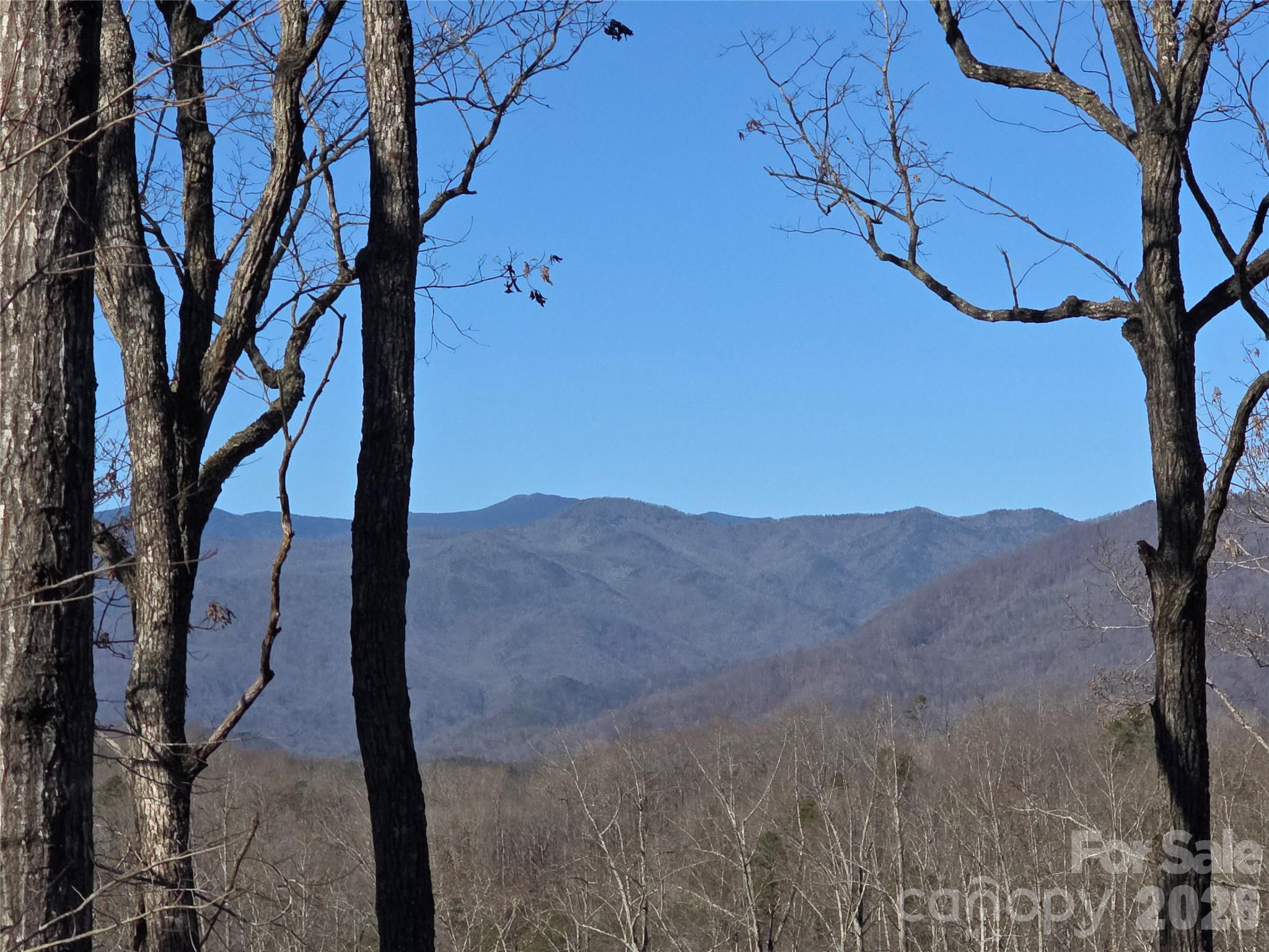 Lot 2 Warren Ridge Road Property Photo 2