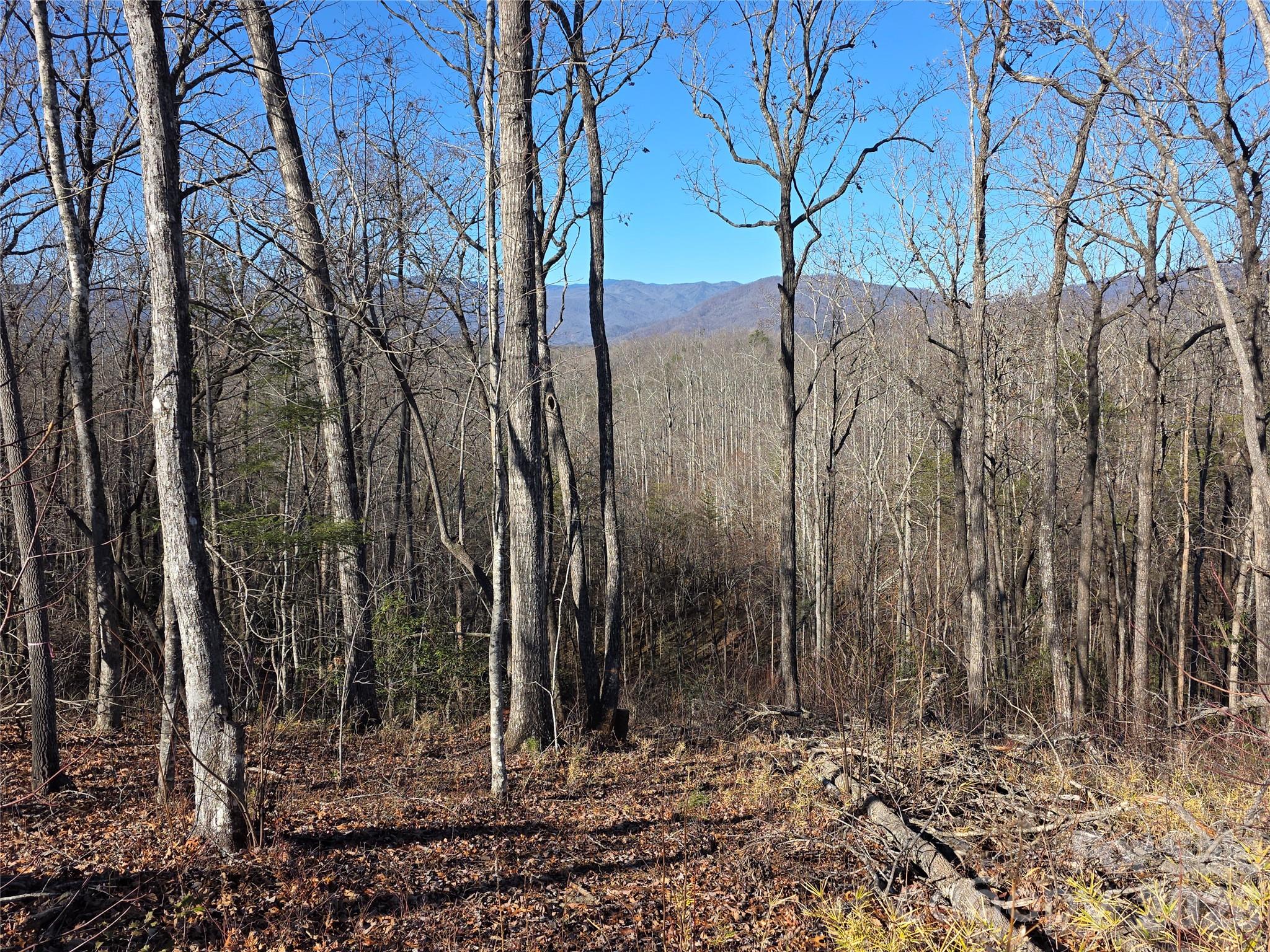 Lot 2 Warren Ridge Road Property Photo 3