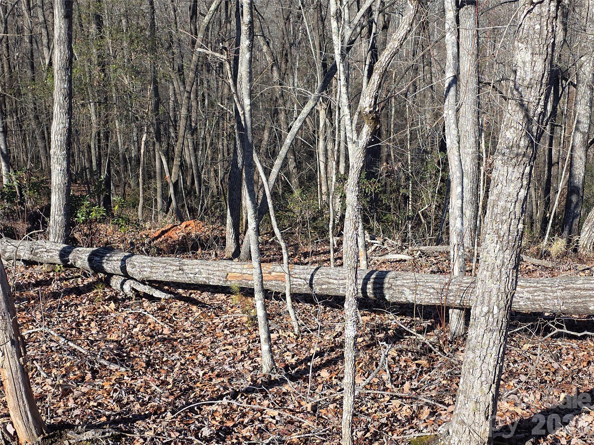Lot 2 Warren Ridge Road Property Photo 6