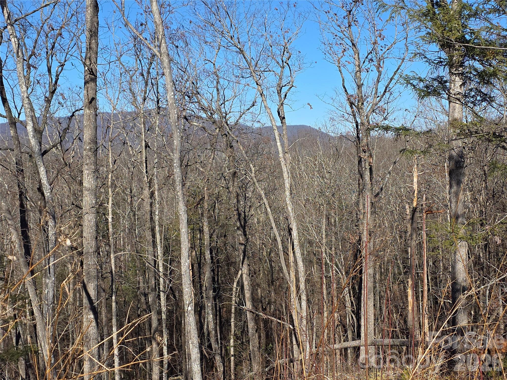 Lot 2 Warren Ridge Road Property Photo 8