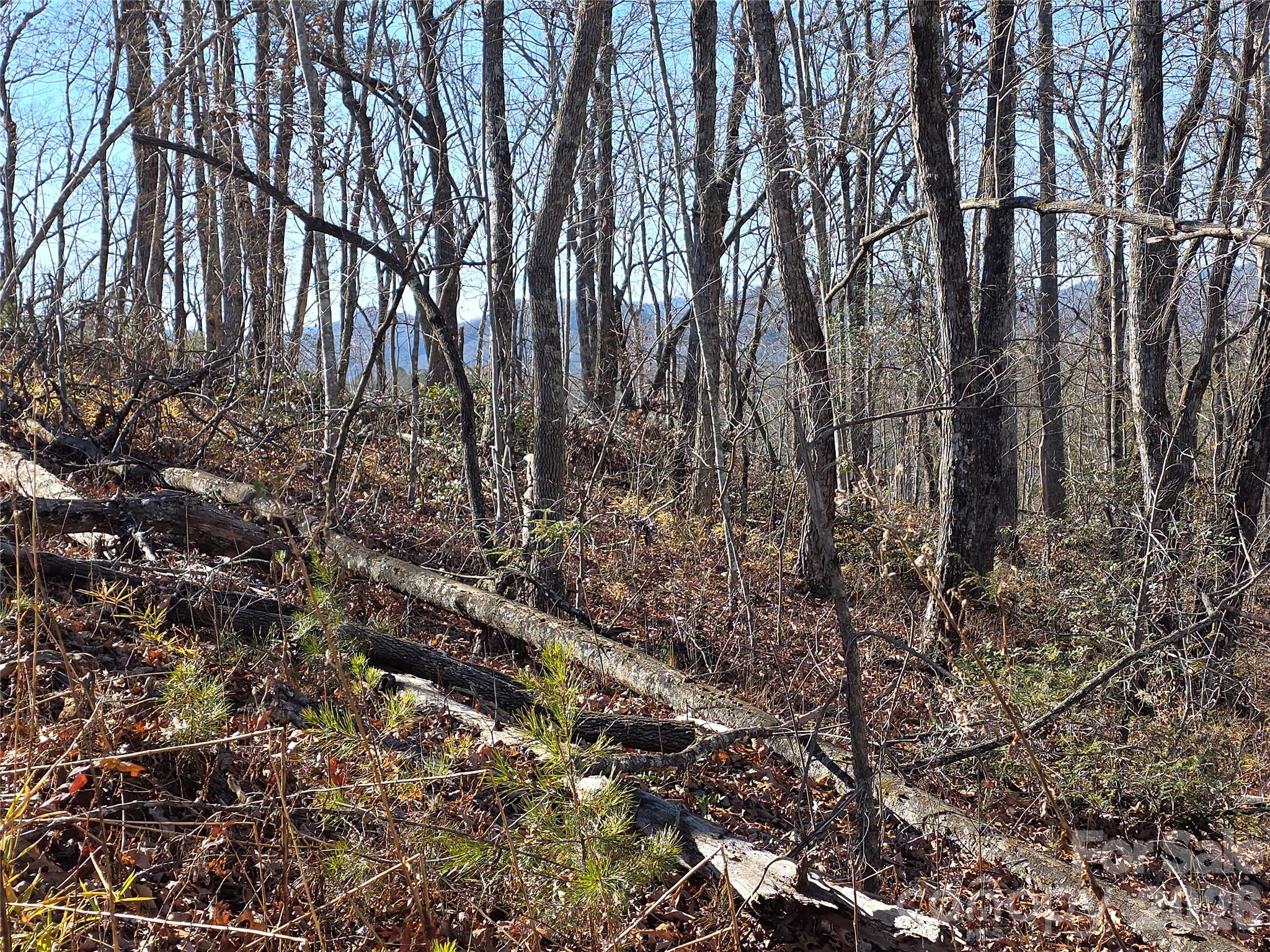 Lot 2 Warren Ridge Road Property Photo 9