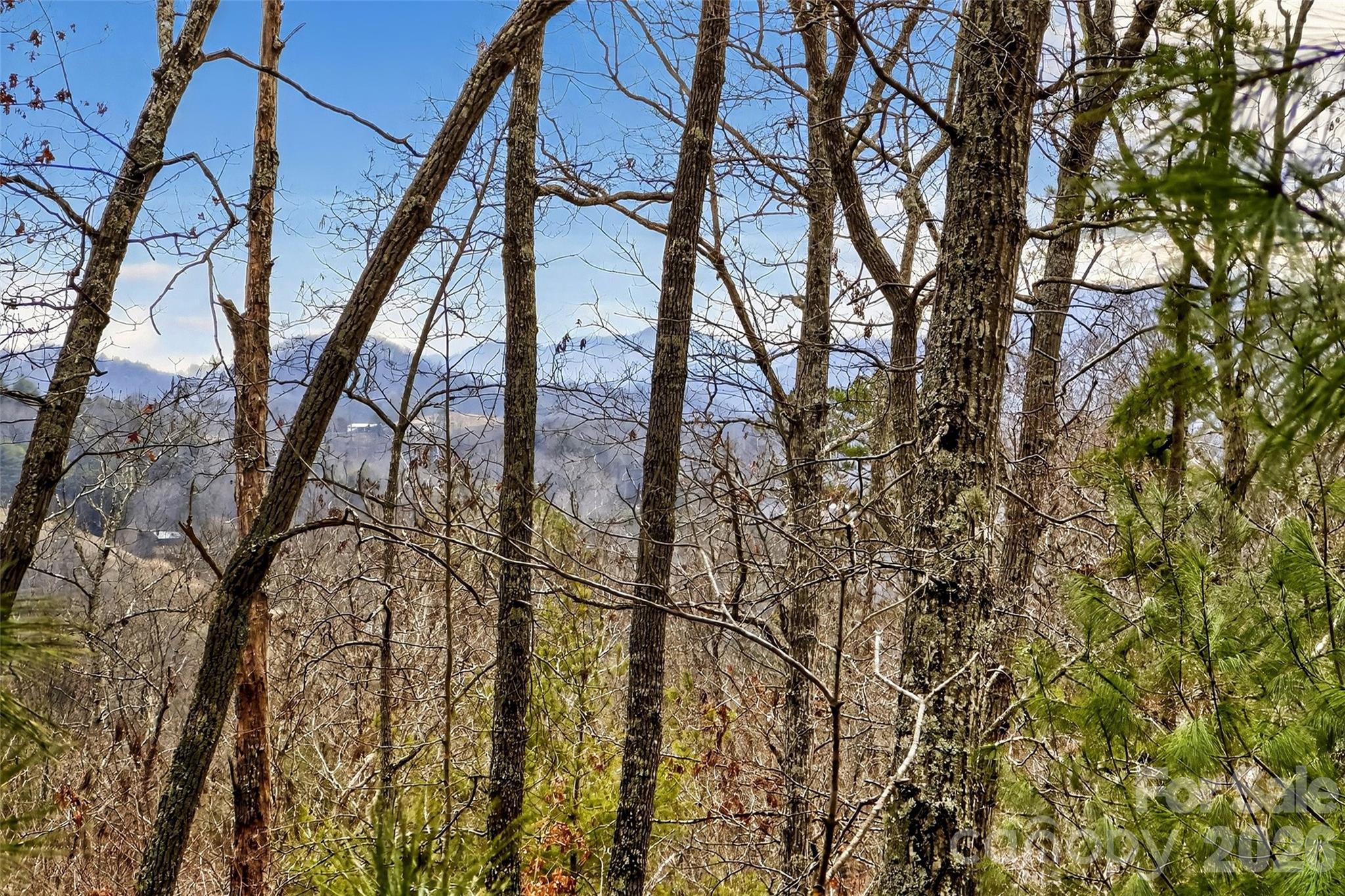 149 Turkey Trot Trail 17 Property Photo 1
