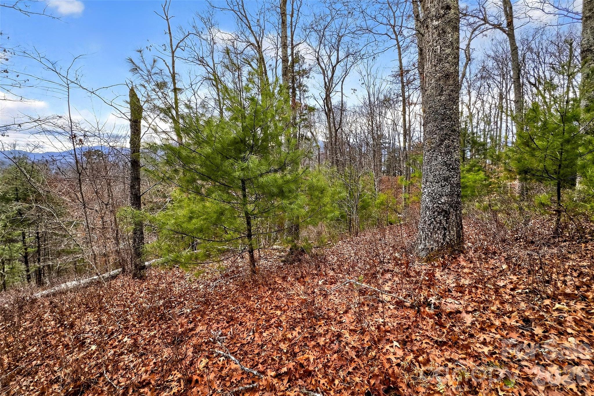 149 Turkey Trot Trail 17 Property Photo 2