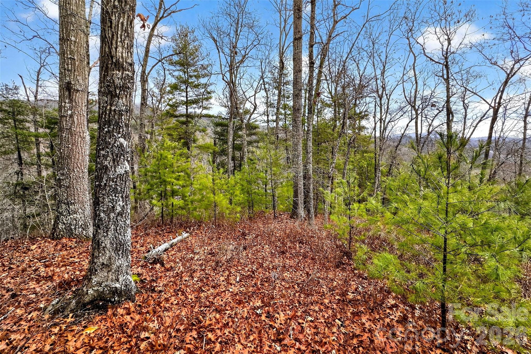 149 Turkey Trot Trail 17 Property Photo 3