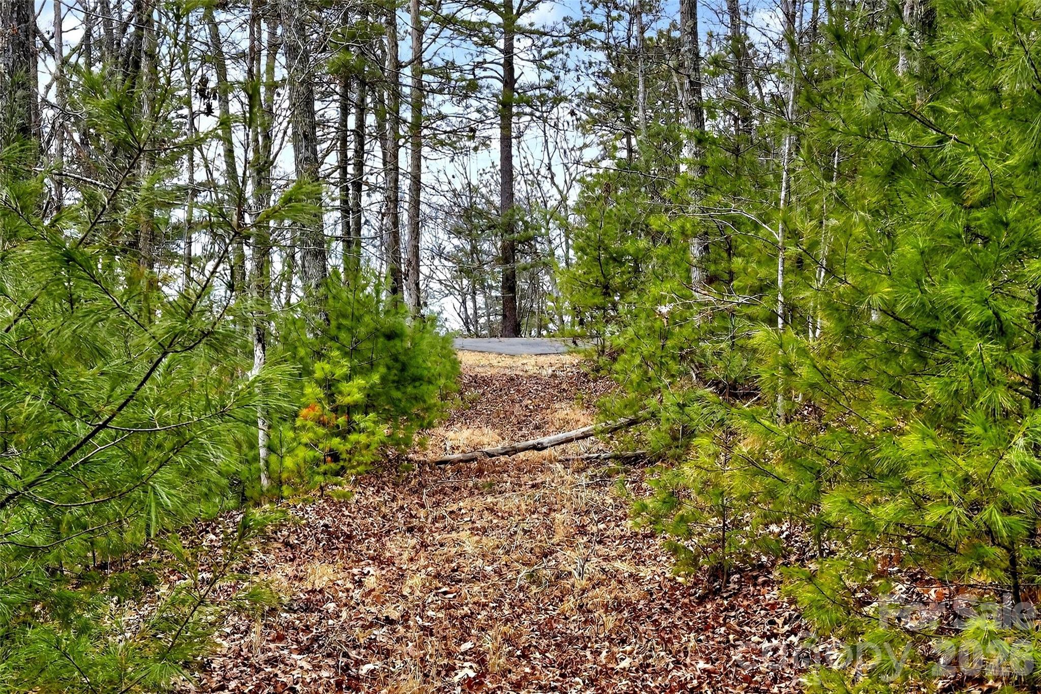 149 Turkey Trot Trail 17 Property Photo 4
