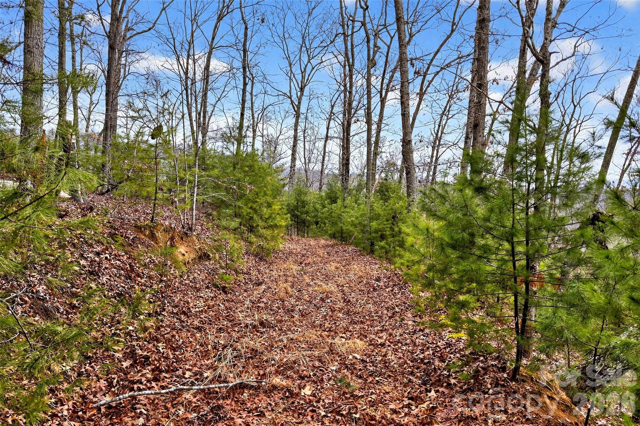 149 Turkey Trot Trail 17 Property Photo 5