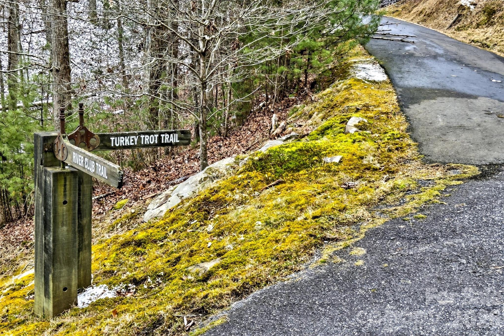 149 Turkey Trot Trail 17 Property Photo 6