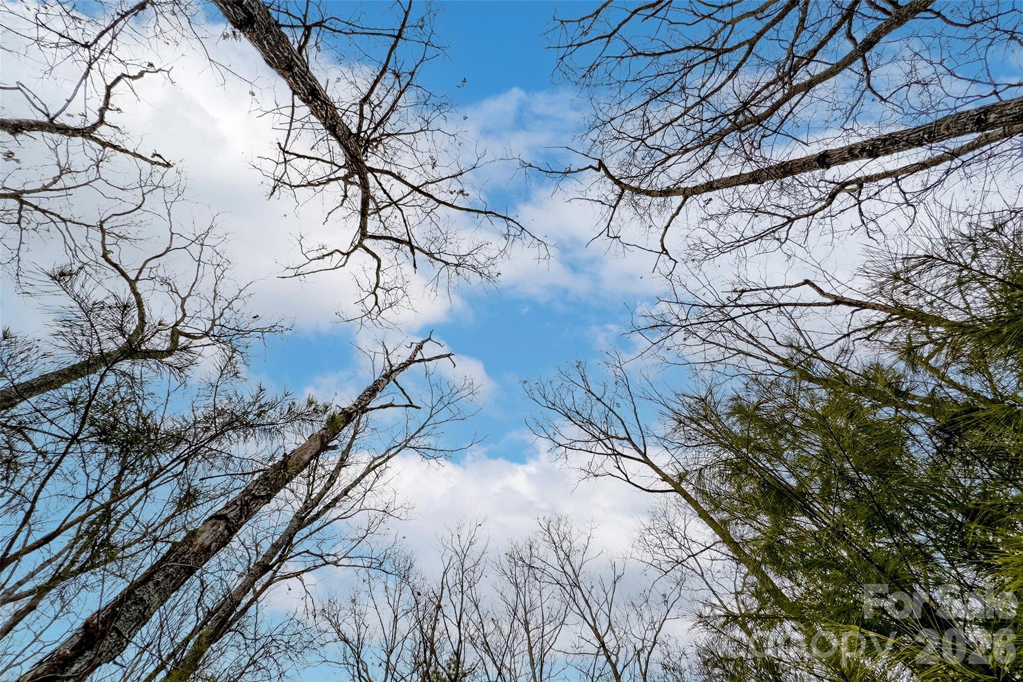 149 Turkey Trot Trail 17 Property Photo 7