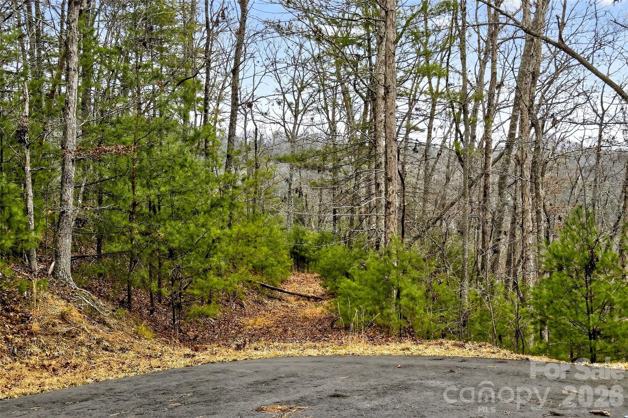 149 Turkey Trot Trail 17 Property Photo 10