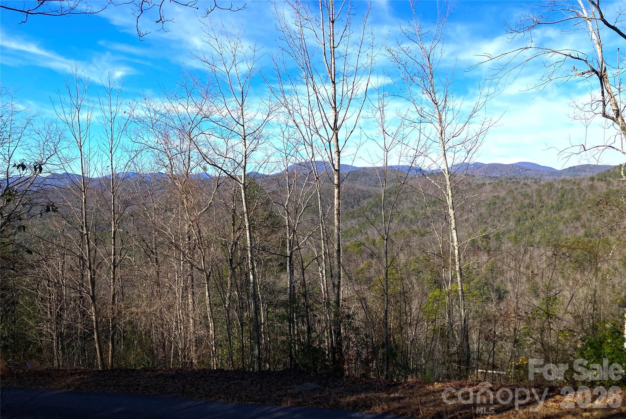 Tbd Ruffed Grouse Road L045 Property Photo 1