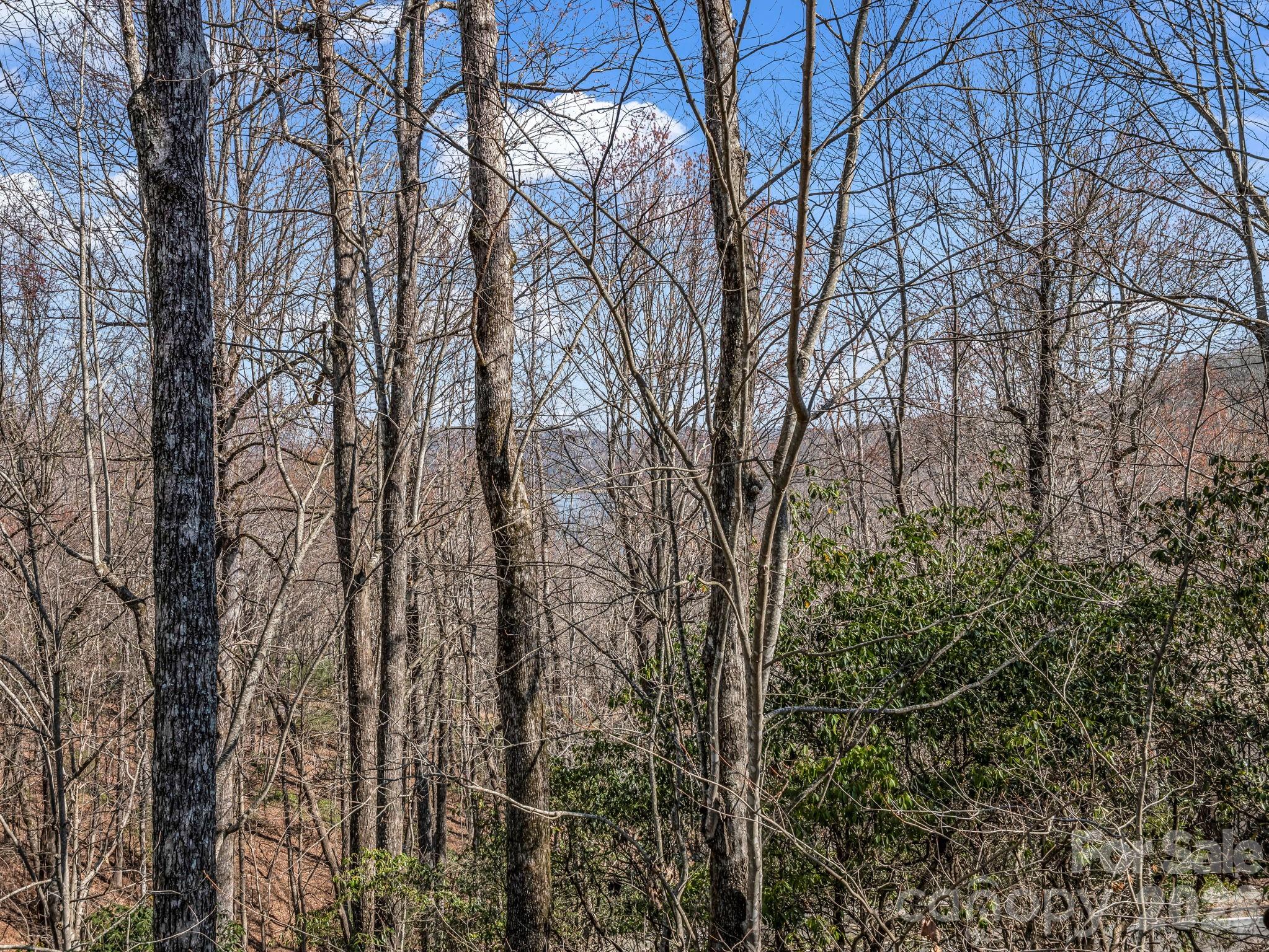 177 Tsisqua Circle Property Photo 36