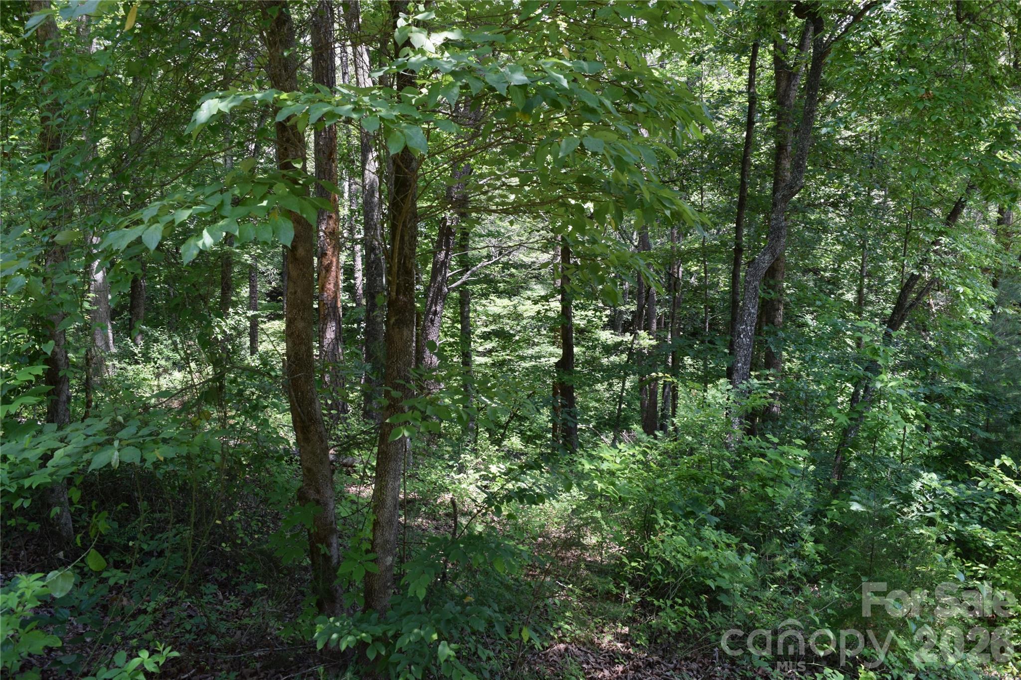 22 River Club Drive Property Photo 29