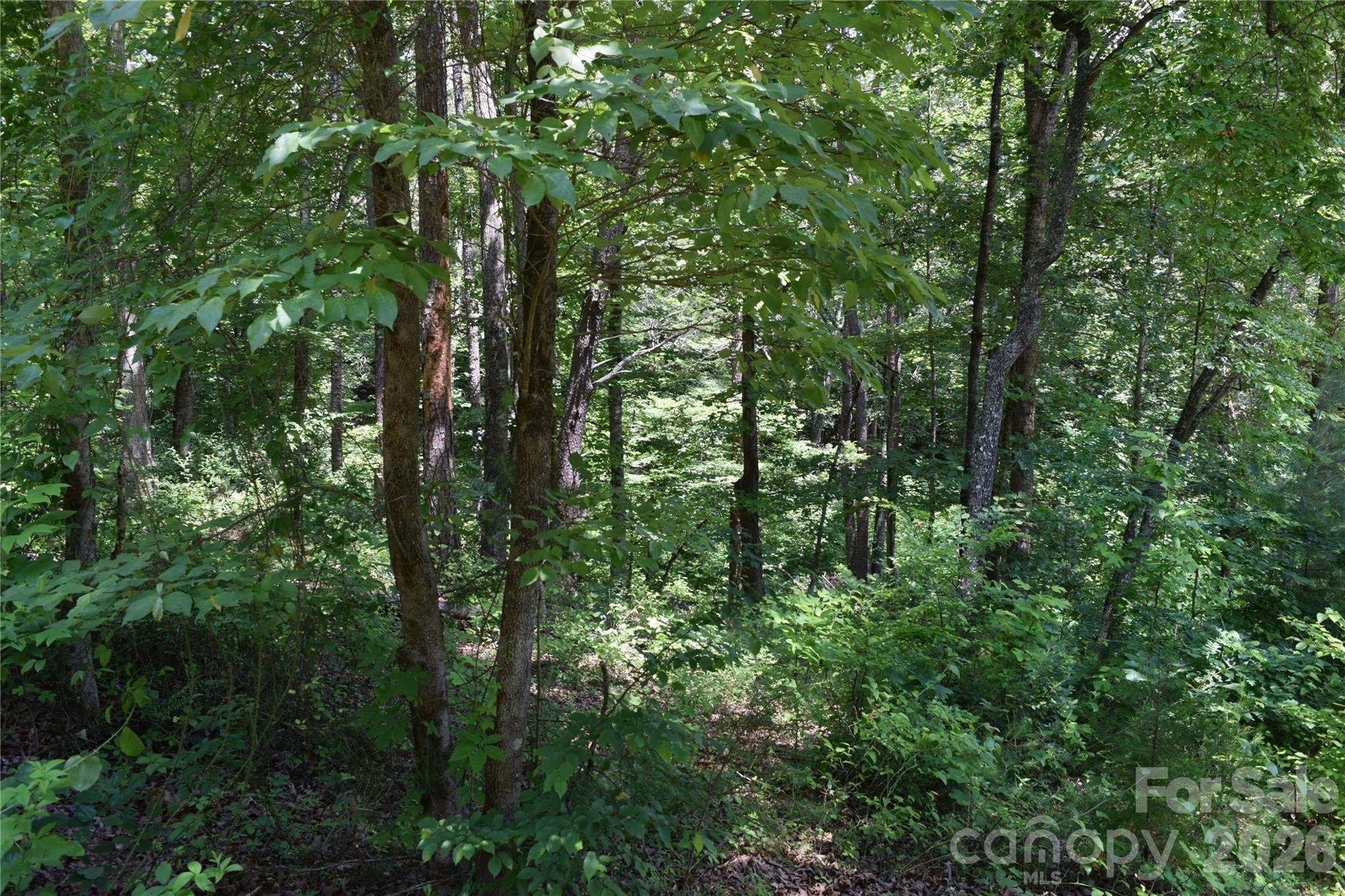 22 River Club Drive Property Photo 30