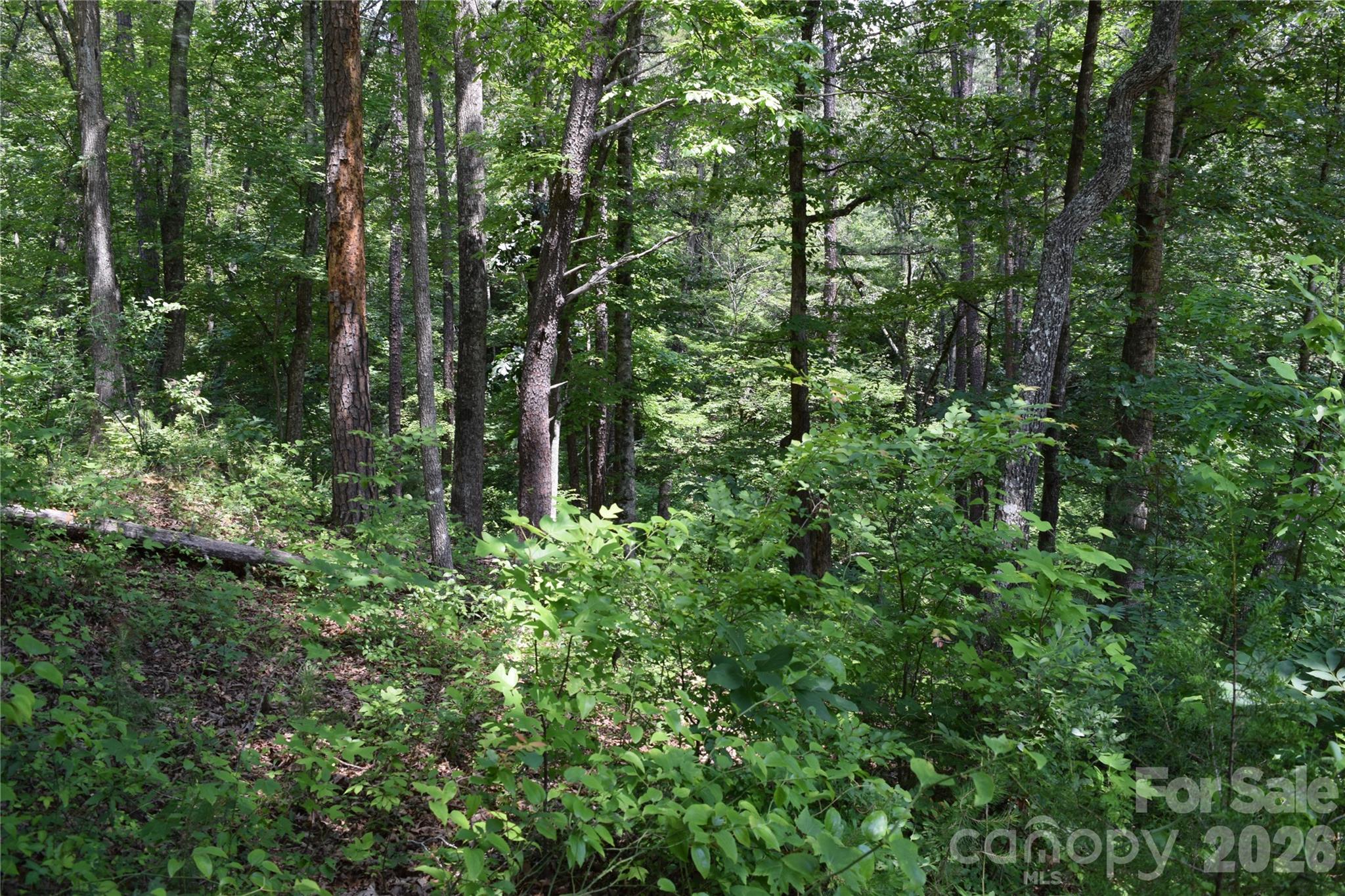 22 River Club Drive Property Photo 35