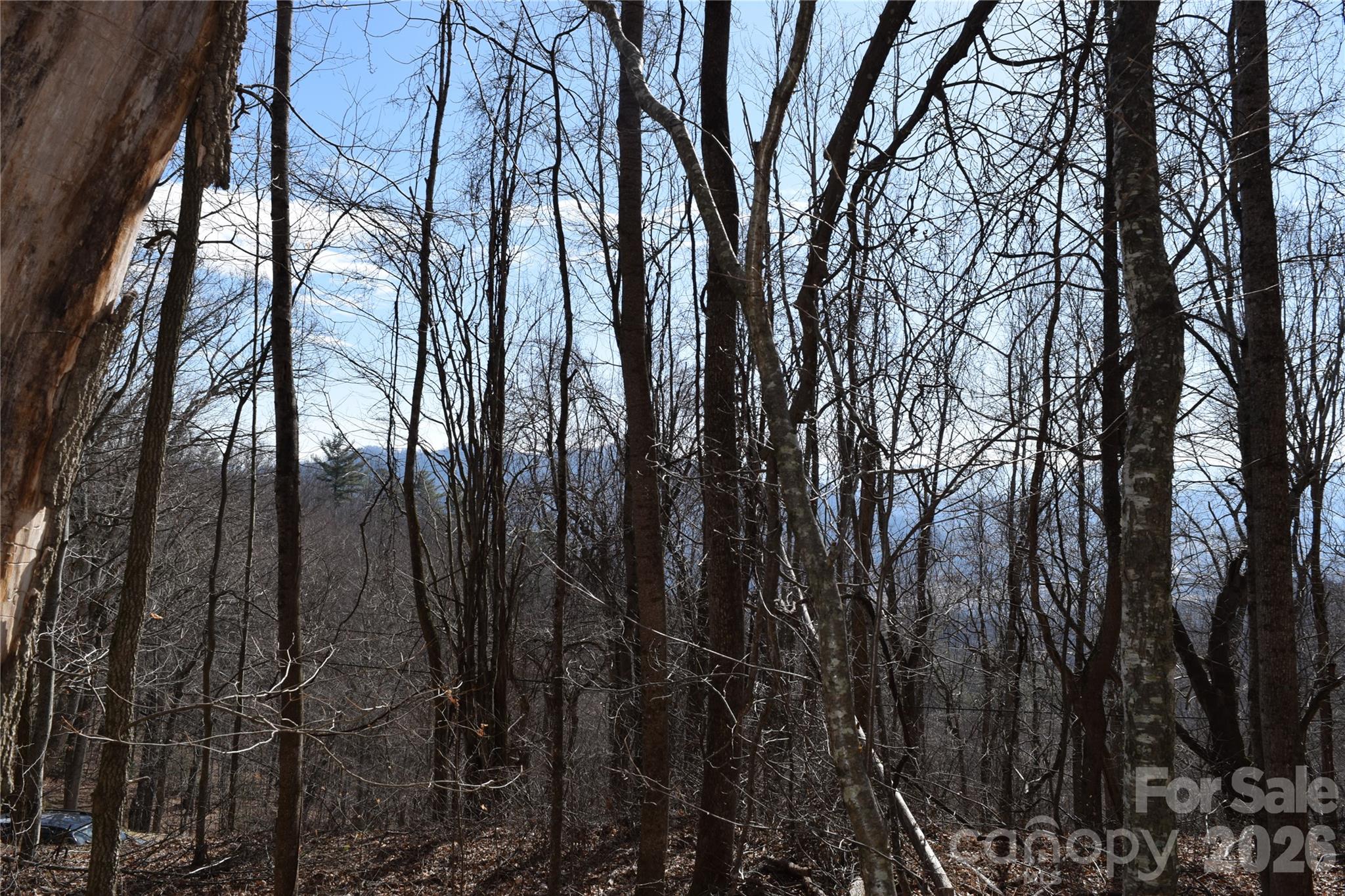 417& 418 Multiflora Way 417&418 Property Photo 7