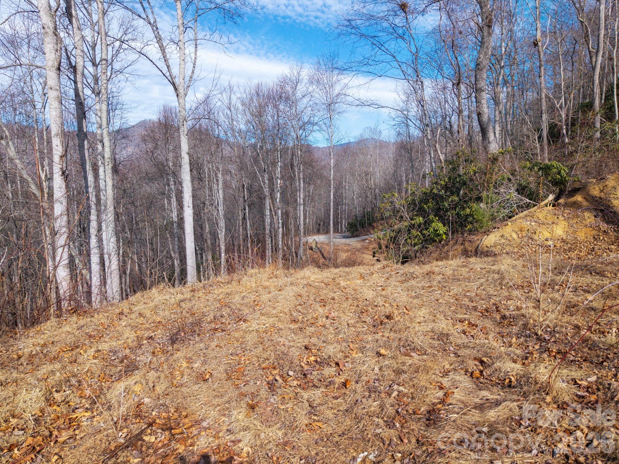000 Bee Tree Road 103b Property Photo 1