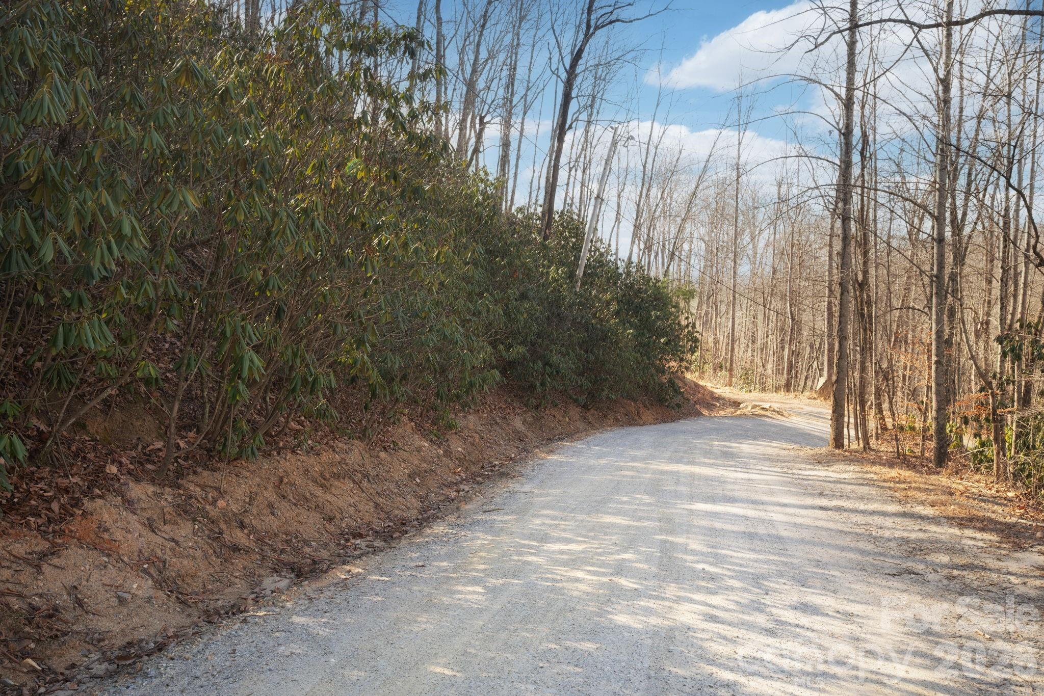 000 Bee Tree Road 103b Property Photo 2