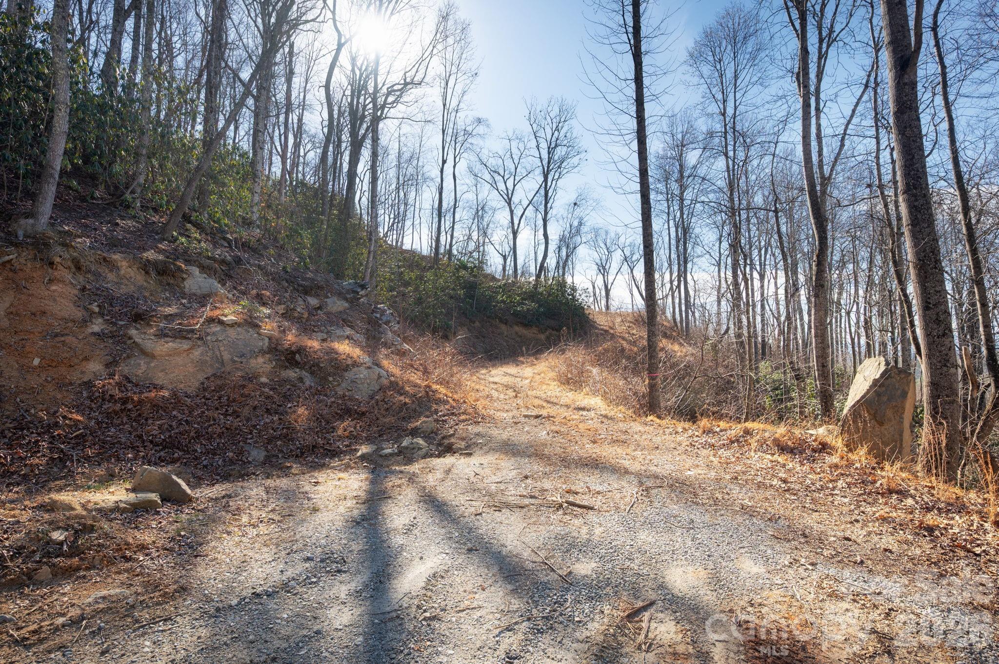 000 Bee Tree Road 103b Property Photo 3