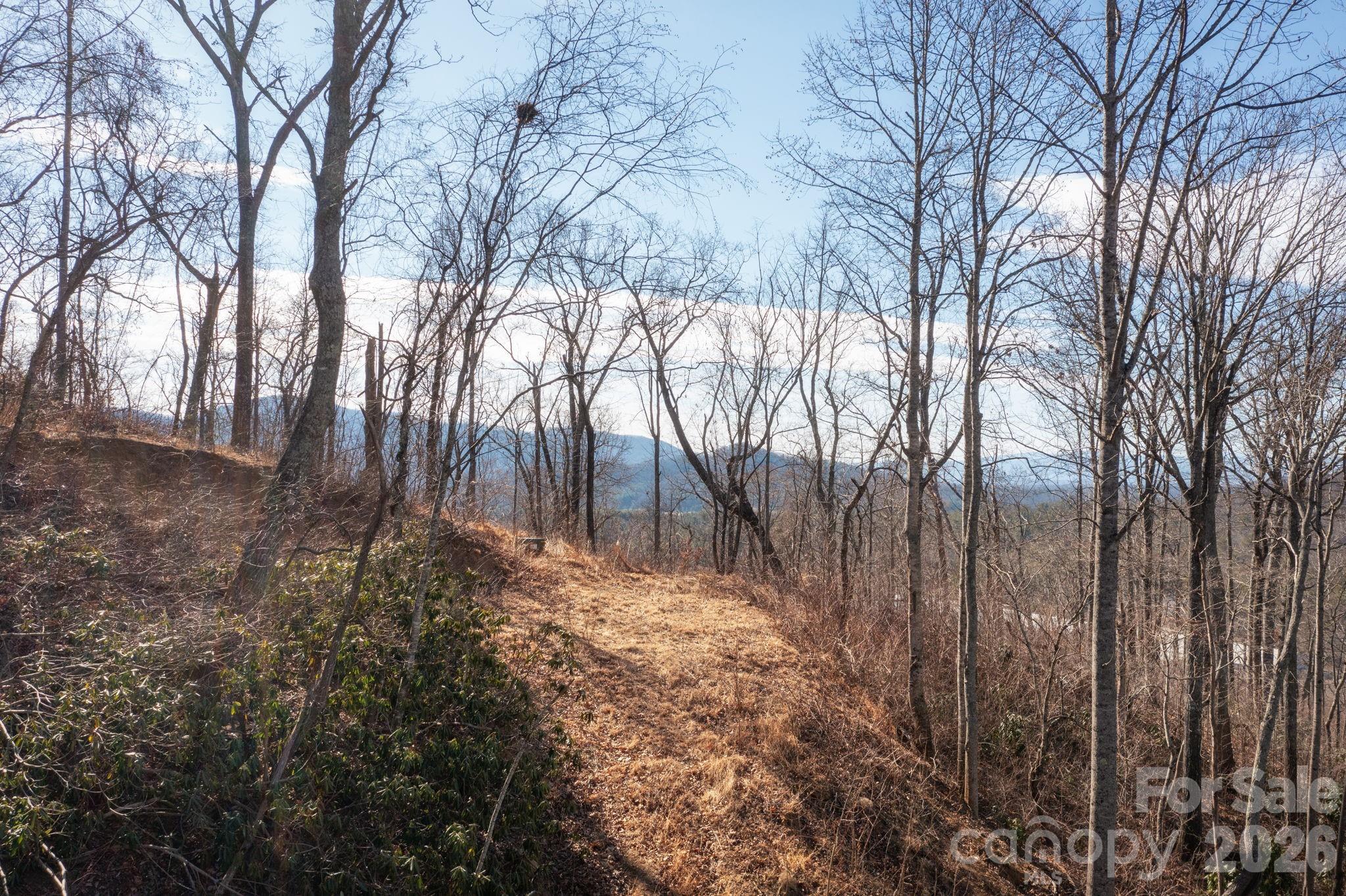 000 Bee Tree Road 103b Property Photo 4