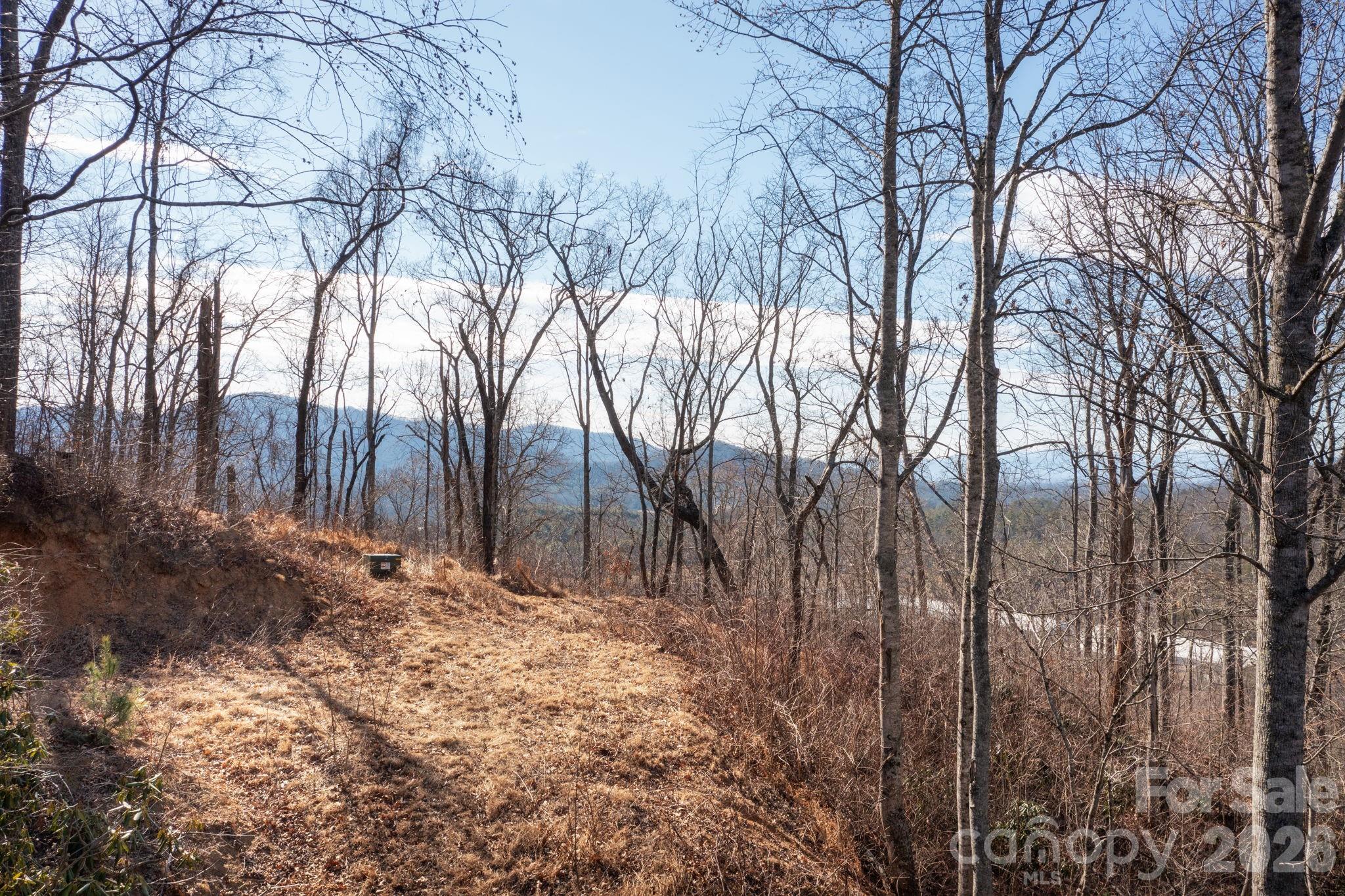000 Bee Tree Road 103b Property Photo 5