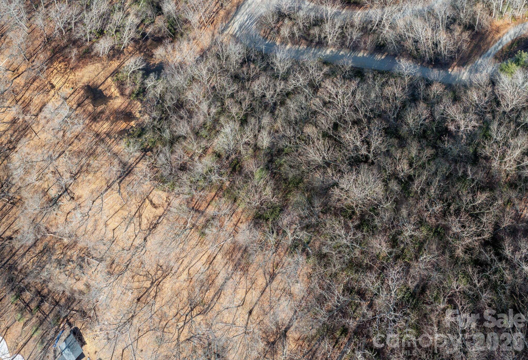000 Bee Tree Road 103b Property Photo 9